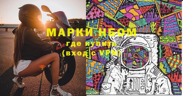 хмурый Алексин