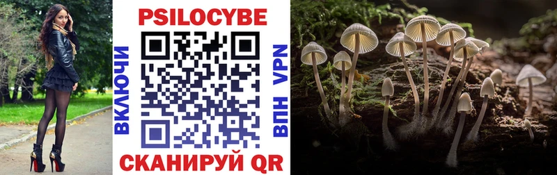 Псилоцибиновые грибы прущие грибы  гидра tor  Рубцовск 